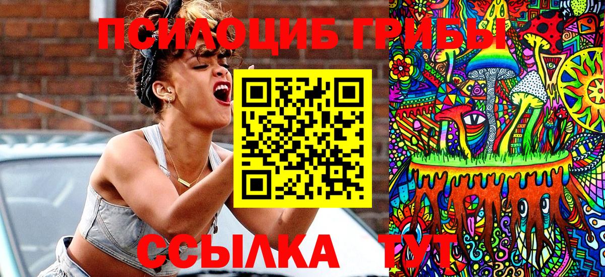 Псилоцибиновые грибы Psilocybe Ростов Великий